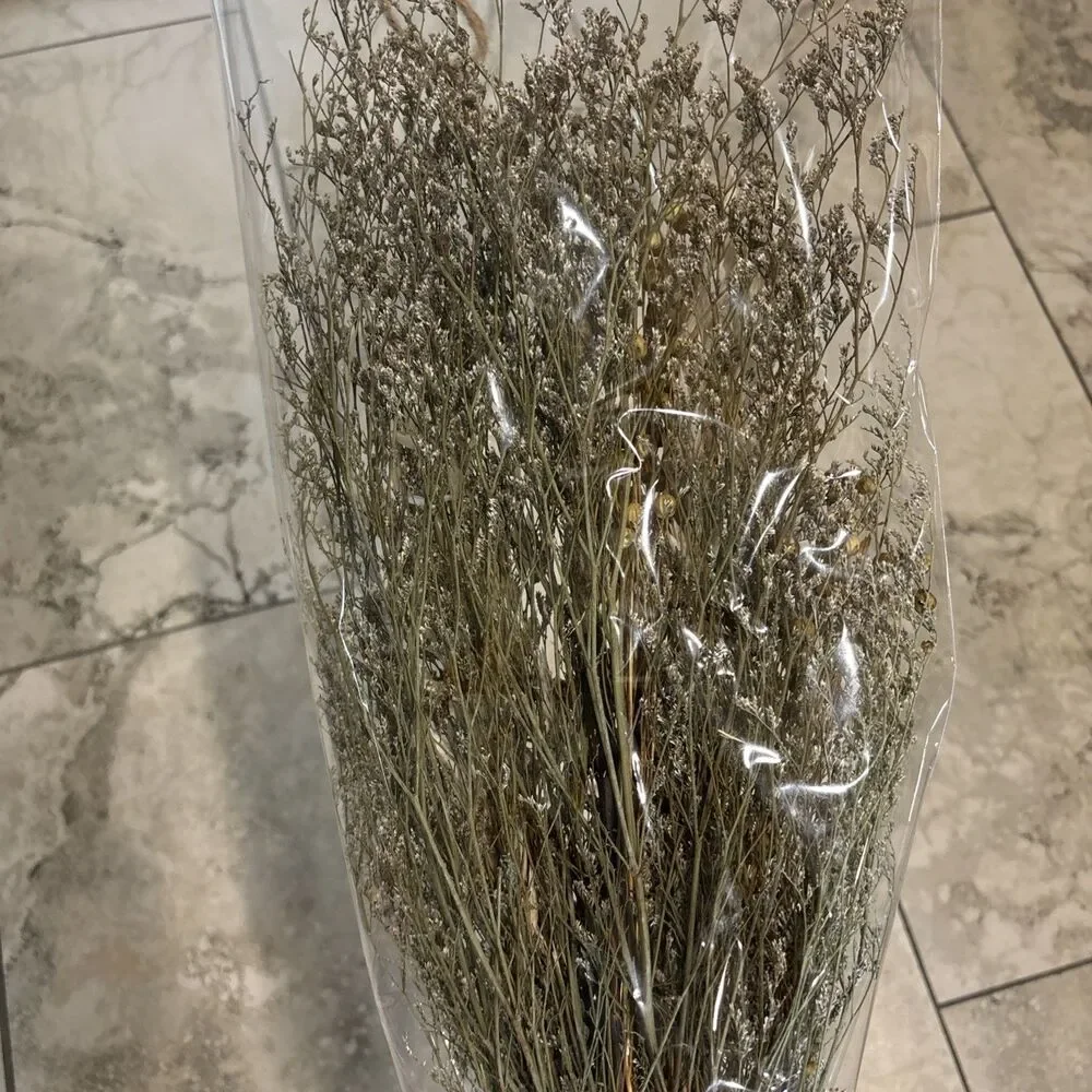 Hearth & Hand with Magnolia Preserved Flower & Grass Bundle 25” Tall (Set of 2)